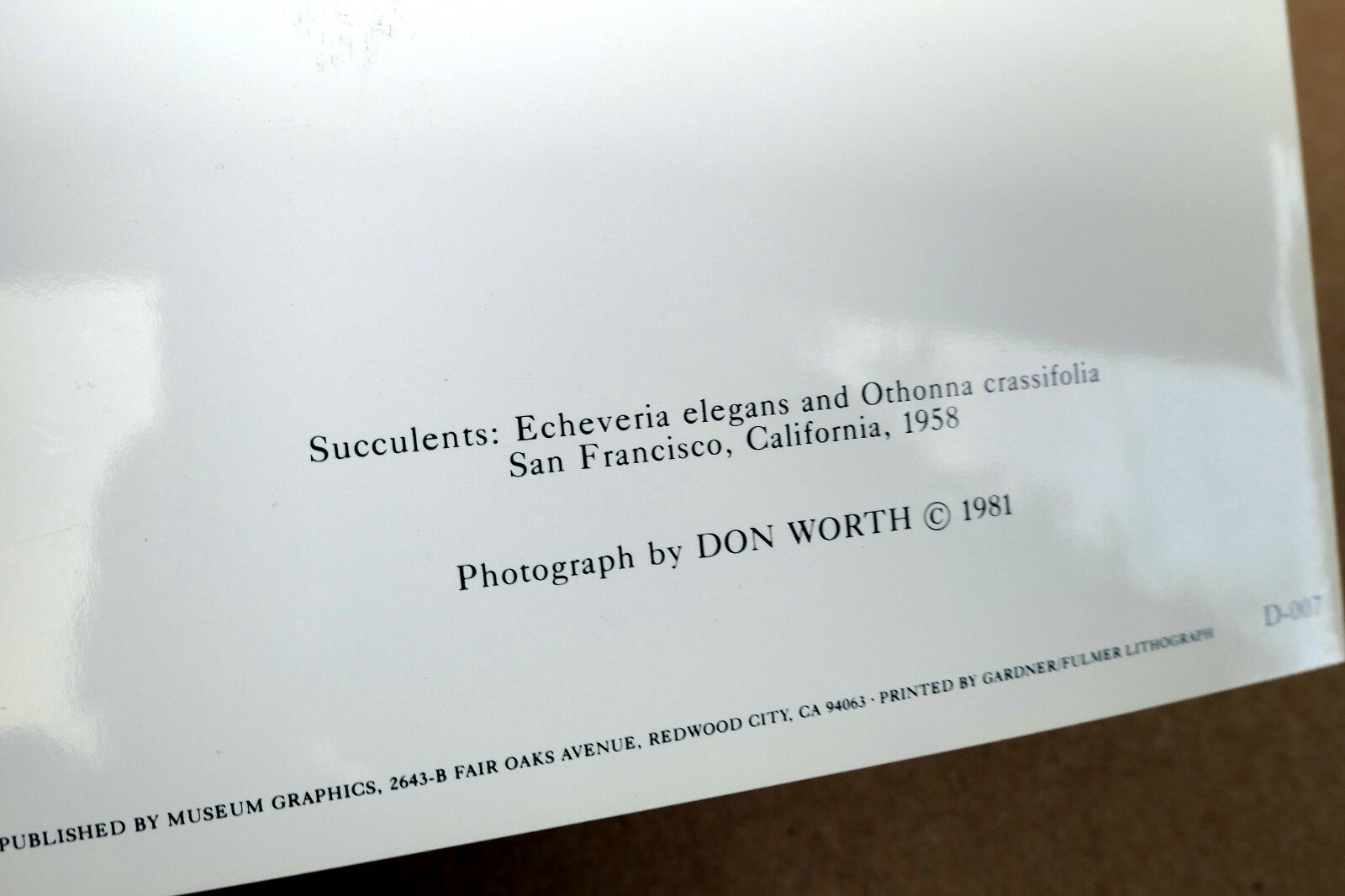 1958 Succulent Flower blossom Photograph by Don Worth Greeting Card D-007 Floral