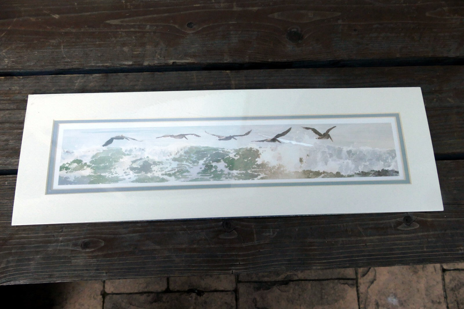3X18" shorebirds pelicans flying Print R. folk NWS