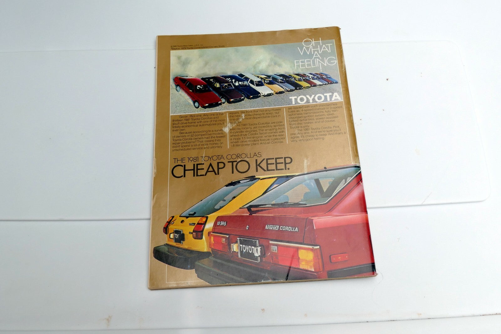 Car & Driver Fuel Economy magazine Feb 1981 Porsche 924 Ford Escort Bonneville