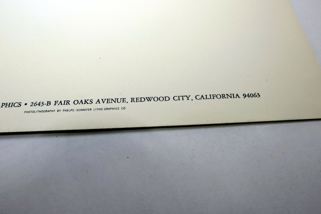 Shells 1927 1-S Photograph by Edward Weston POSTCARD vintage unposted EW-1