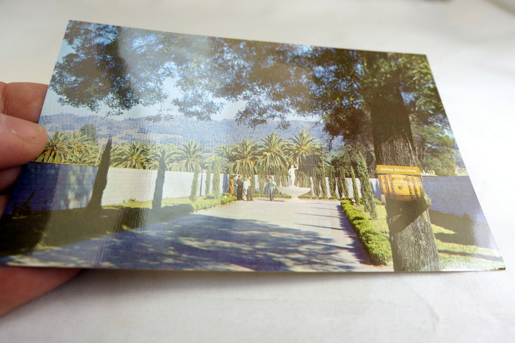 Italian Swiss Colony Wine Winery Tasting Room California USA Postcard 1970's