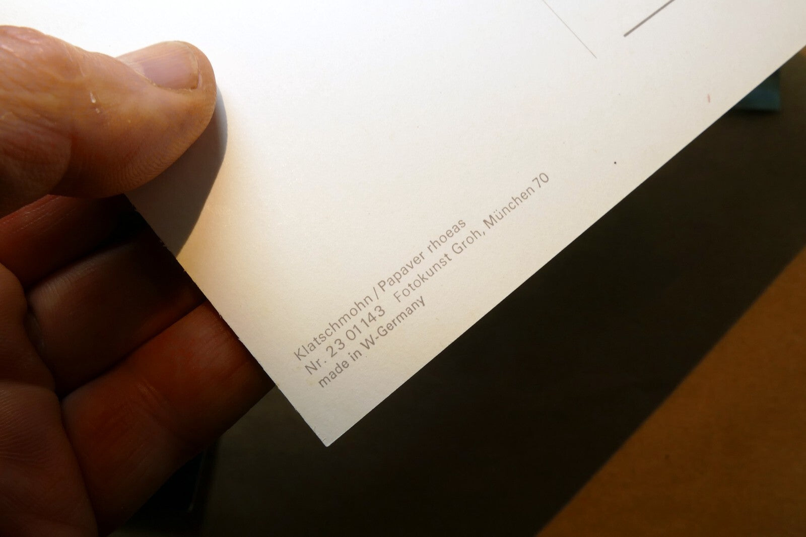 Germany Unposted Postcard Lot pack of 5 Owl Flowers Tulip Rose Lily 1980's