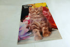 Missing You Postcard Animal Shelter North Shore League Adopt a Pet Kitten 1980's
