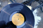 ARLO GUTHRIE - WASHINGTON COUNTY - 1970 REPRISE RECORD RS 6411