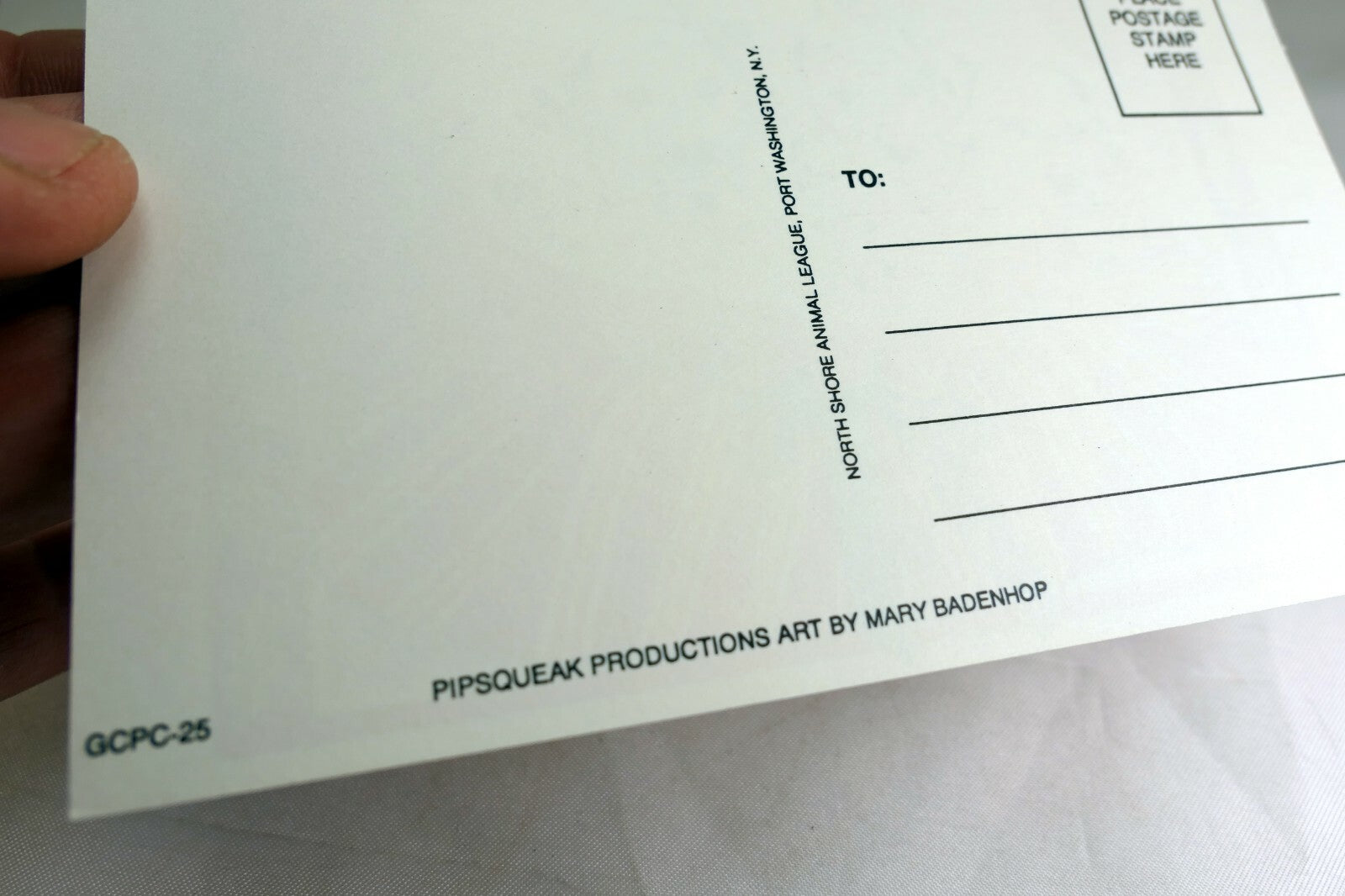 Get Well Postcard Animal Shelter North Shore League Dog Puppies 1980's