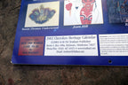 2002 The Cherokee Herritag Calendar Native American artists