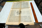 New York Times  Dec. 21,  1860 - Reprint - Civil War, South Secession Begins