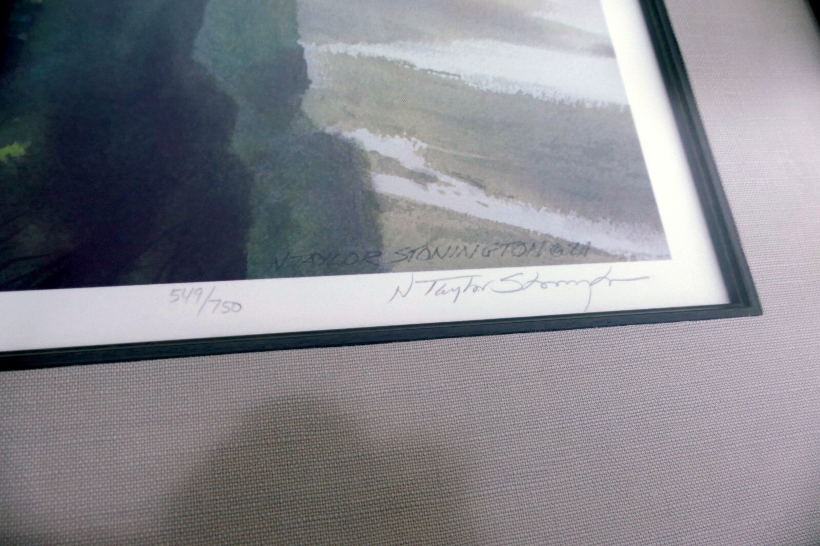 Nancy Taylor Stonington "Cormorant" 549/750 Lithograph Print Hand Signed