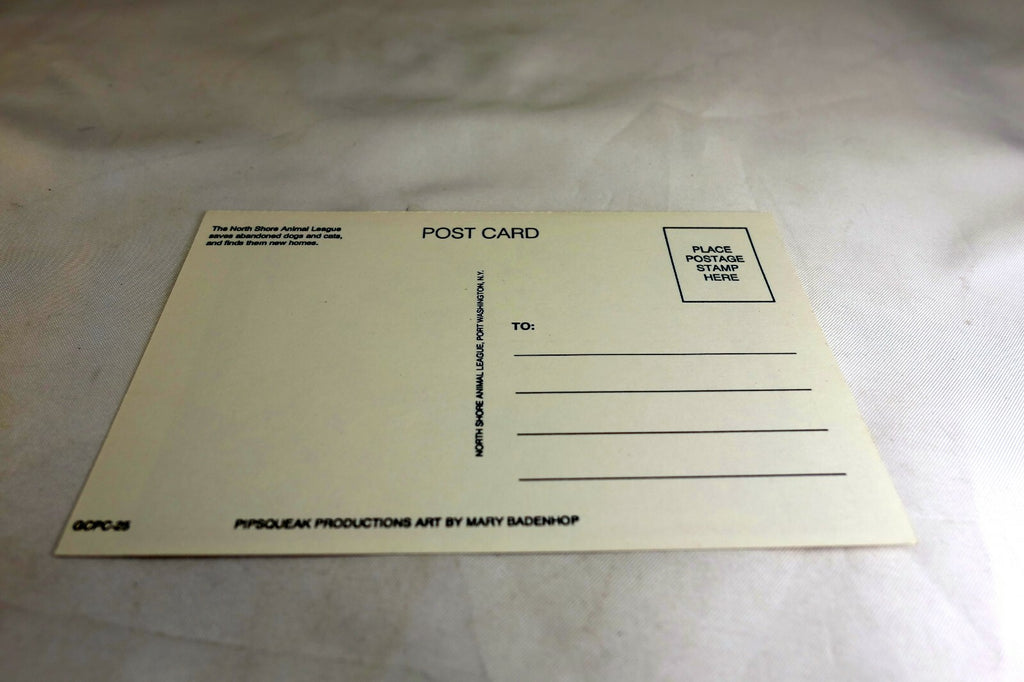 Get Well Postcard Animal Shelter North Shore League Dog Puppies 1980's