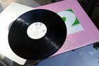 12 Terrific Tunes LP Promo 1-79 2ND Edition 3-79 Asylum / Elektra 1979