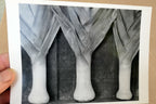 Leeks 1927 Photograph by Edward Weston greeting card W-010-85 2-V