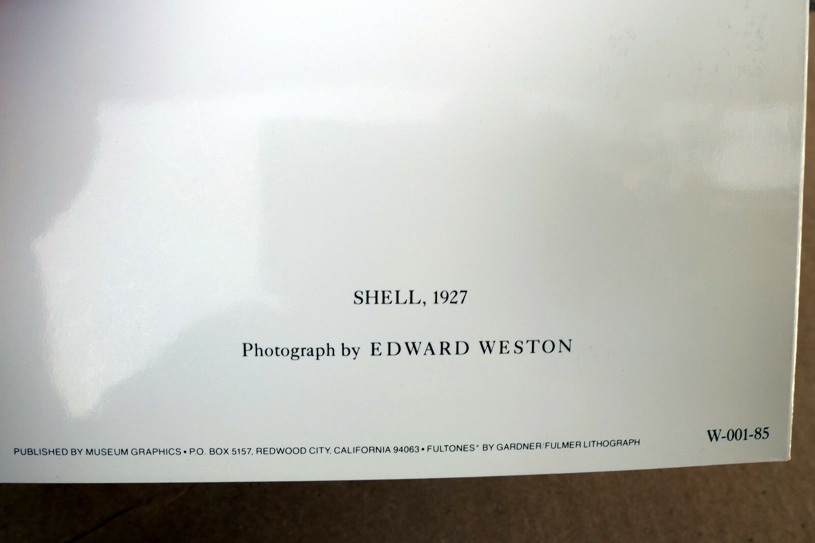 Shells 1927 1-S Photograph by Edward Weston greeting card unposted W-001-75