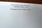 1976 Succulent Flower Agave Attenuata Photograph by Don Worth POSTCARD DW-4