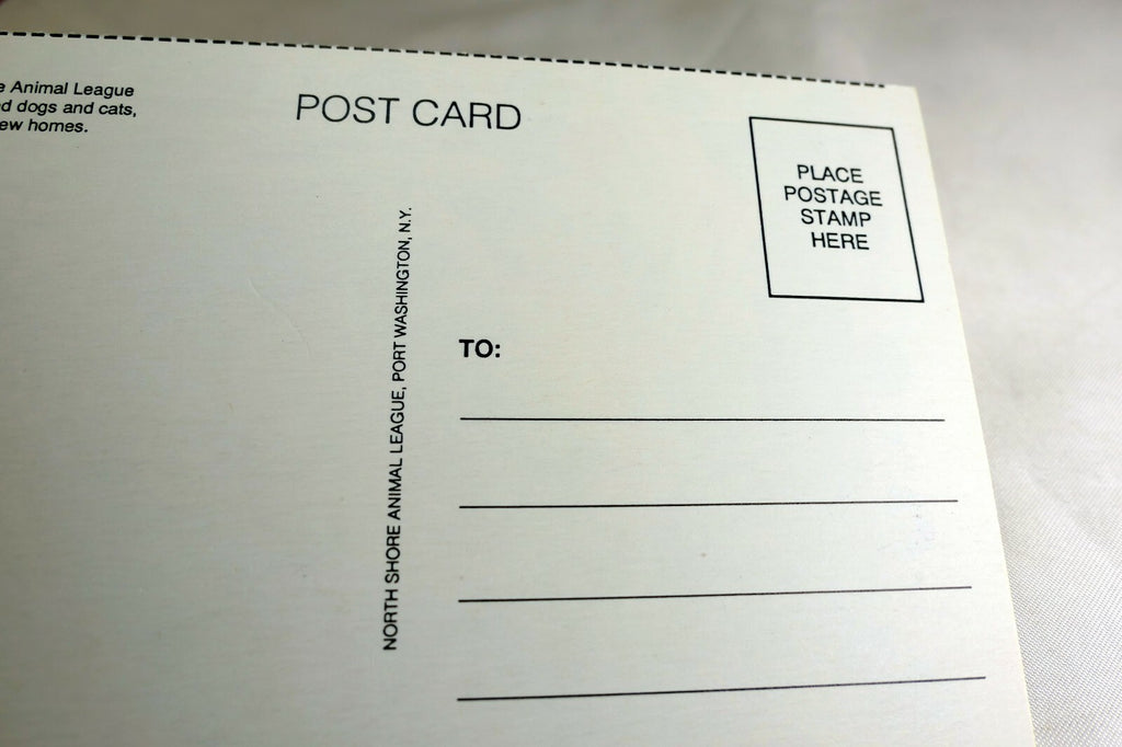 Happy Birthday Postcard Animal Shelter North Shore League Adopt a Pet 1980's