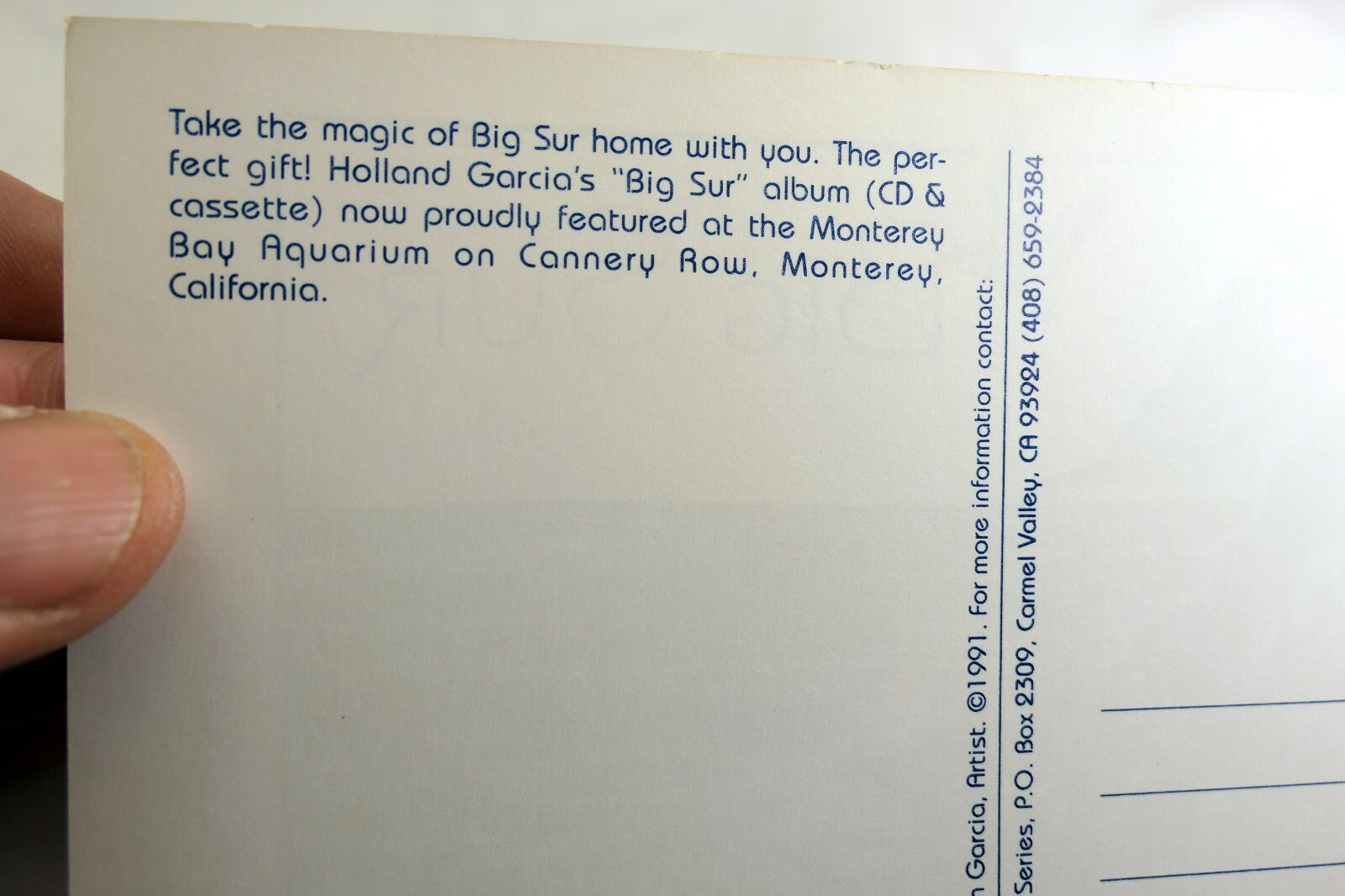 Big Sur Beach Monterey Bay California USA Postcard vintage 1991 w/ pelican ocean