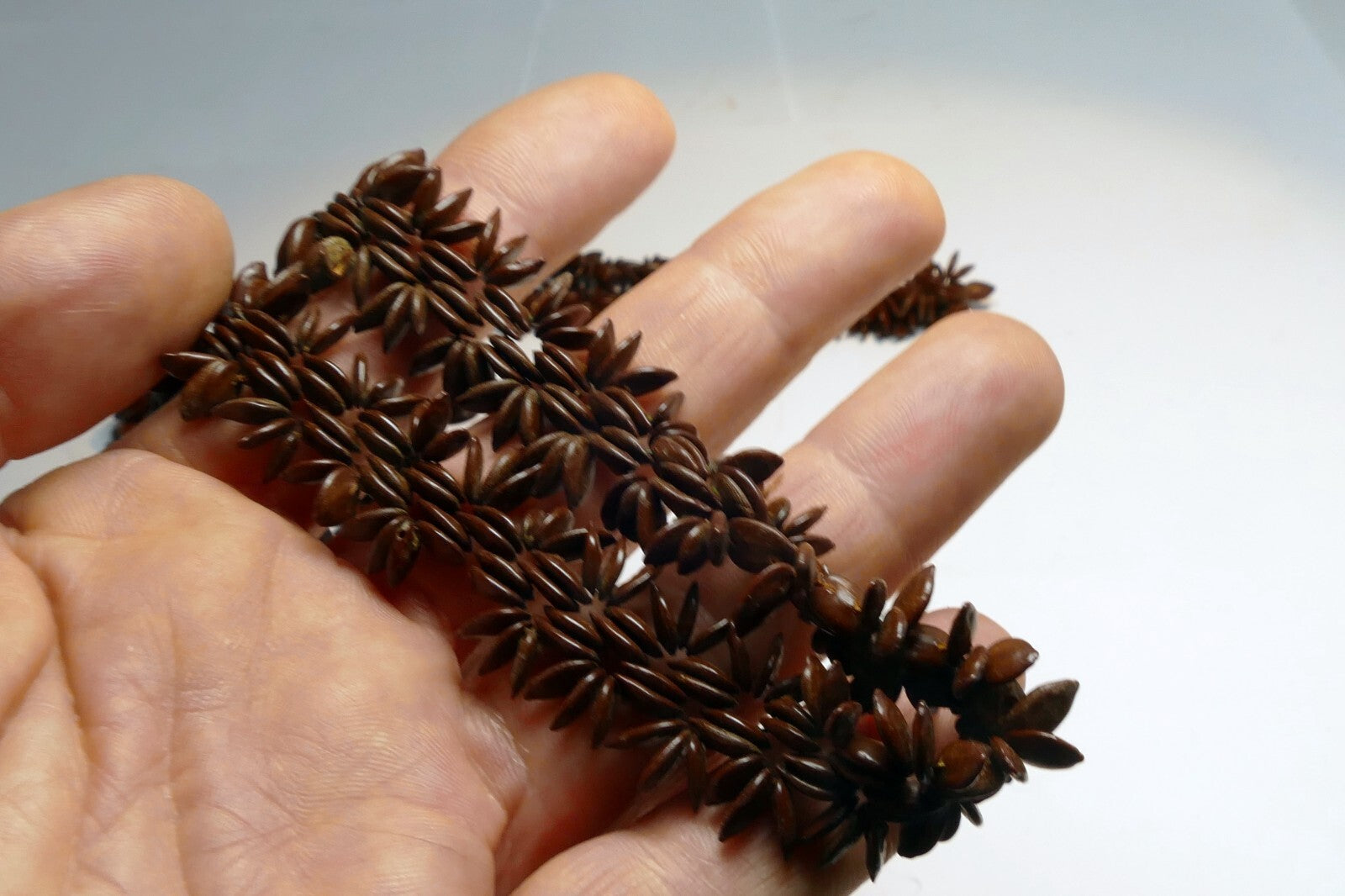 Brown Hawaiian Koa Seed Lei Single Strand Necklace 24" Boho Jewelry