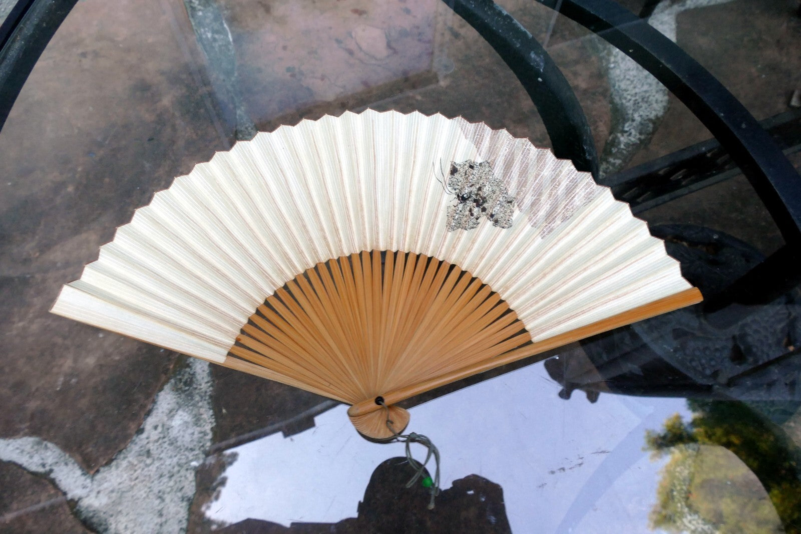 Japanese Hand FOLDING FAN, Bamboo with Cricket hand painted