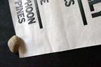 San Francisco Examiner Newspaper "Absentee Vote Delay Tally " Poster vintage