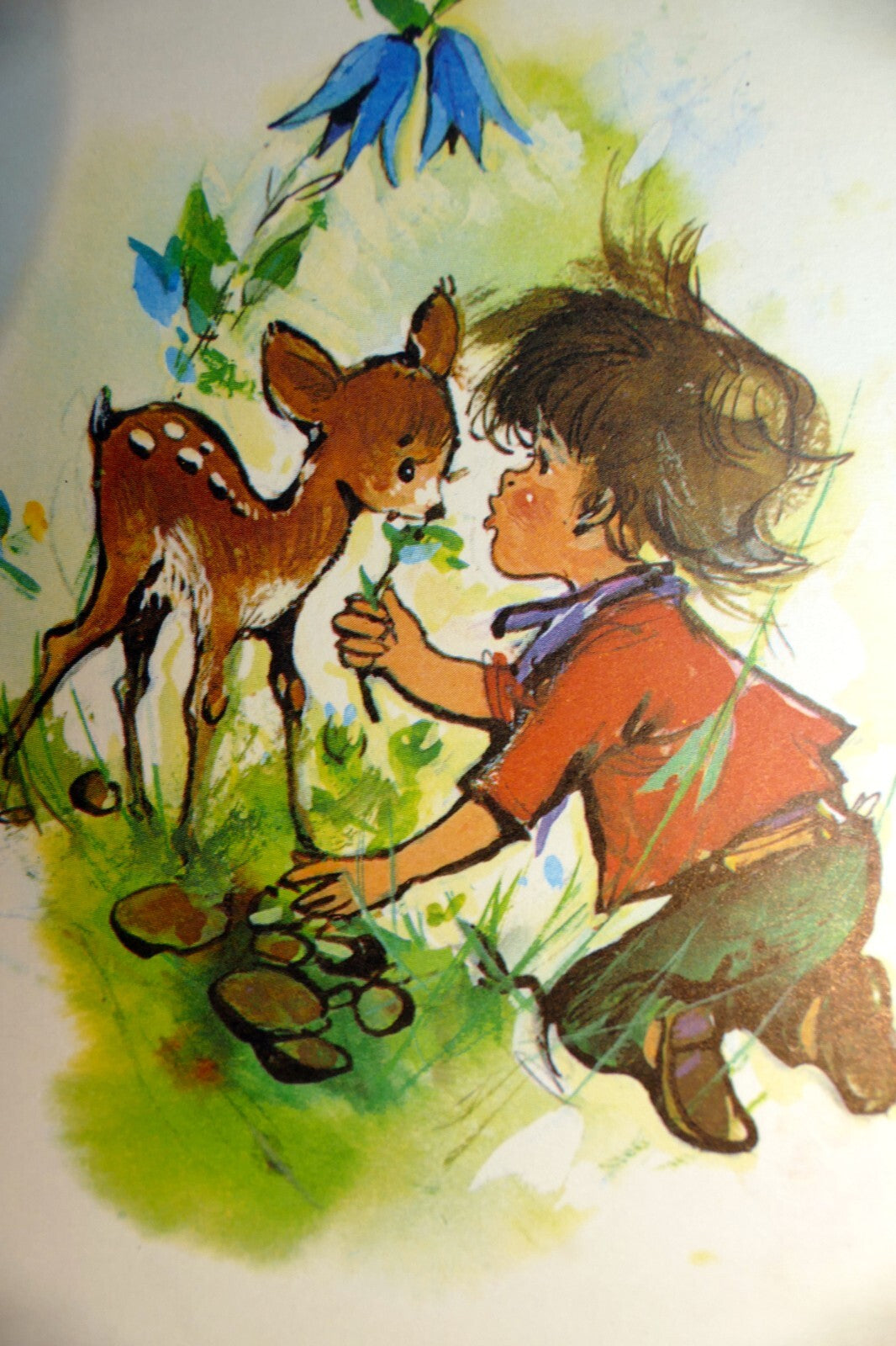 Adolf korsch verlag postcard munchen boy with dear   unposted art