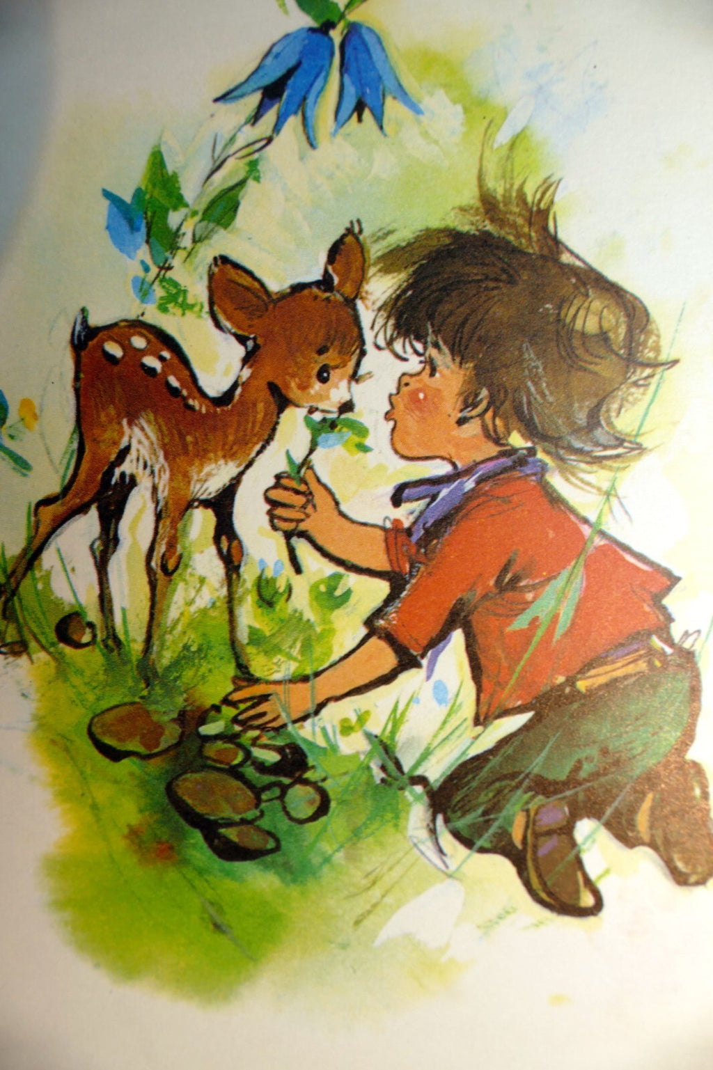 Adolf korsch verlag postcard munchen boy with dear   unposted art