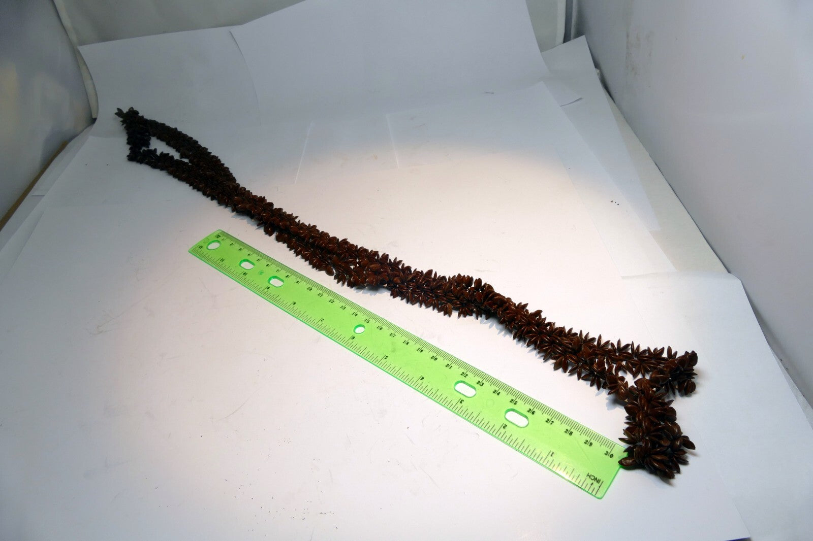 Brown Hawaiian Koa Seed Lei Single Strand Necklace 24" Boho Jewelry