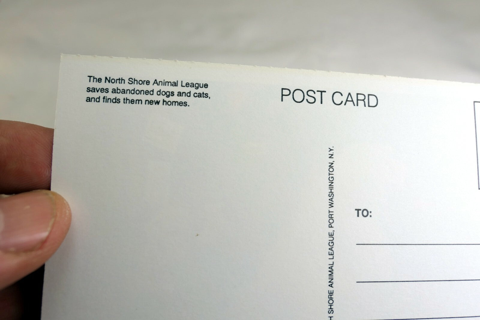 Get Well Postcard Animal Shelter North Shore League Dog with Santa Cookies 1980s