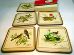 Pimpernel beverage coasters wild birds set of 5 square 4" england european pack