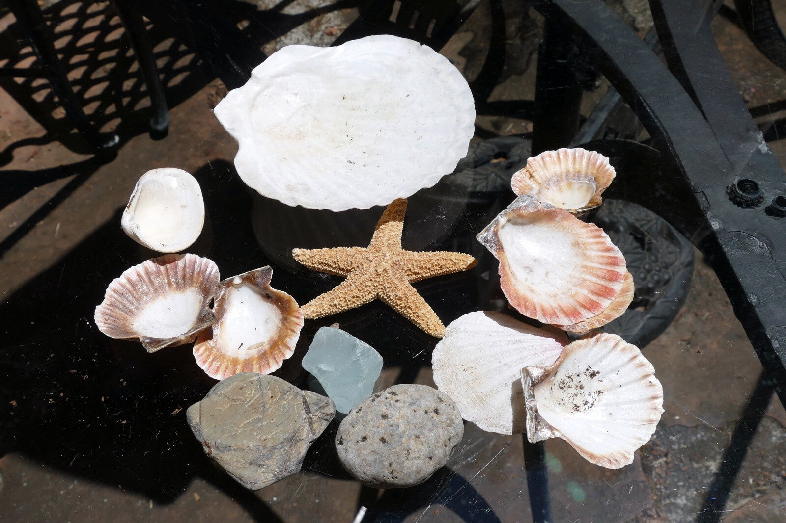 9oz  lot of Ocean Shell Seashell & pebbles California San Francisco Fish Tank