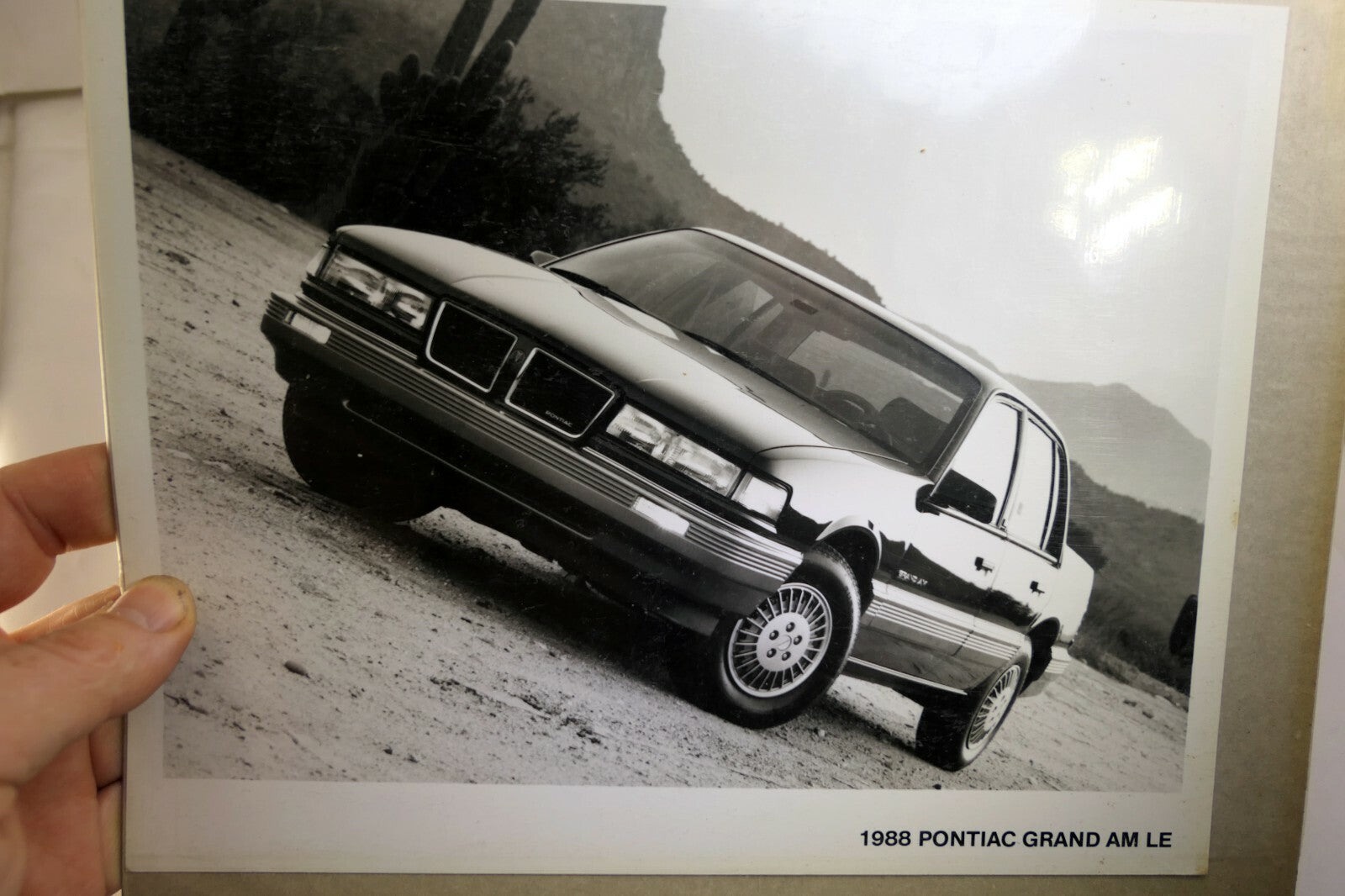 Pontiac 1988 Grand AM LE Dealership advertisement Picture 8X10" Picture Photo