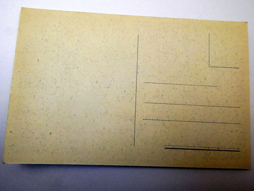 Post Card Cartolina Postale Africa Orientale unused Unposted 1900's