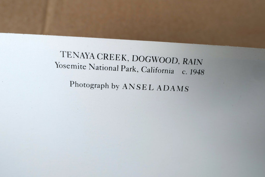 Tenaya Creek Dogwood Rain 1948 photograph by Ansel Adams POSTCARD AA-20