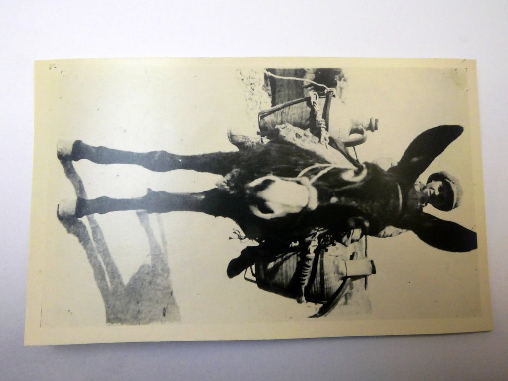 Cartolina Postale Carte "Gevaert" postcard AntiqueTaormina Italie 1900's unused