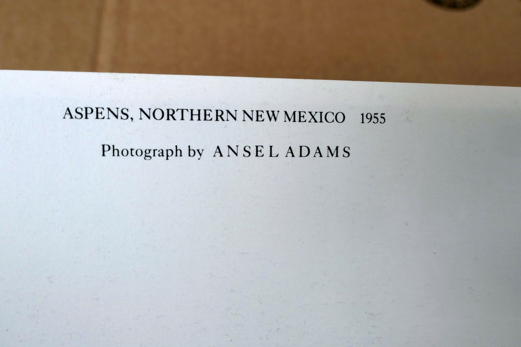 Aspens Northern New Mexico 1955 photo by Ansel Adams POSTCARD A-55 VII