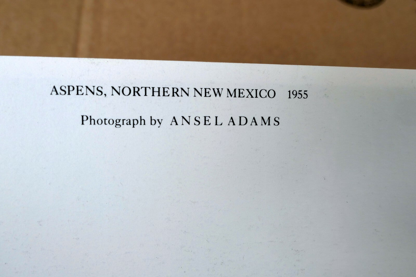 Aspens Northern New Mexico 1955 photo by Ansel Adams POSTCARD A-55 VII