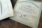 NORMAN ROCKWELL "The Christmas Surprise" Plate 1992 Christmas Knowles COA