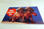 Happy Valentin's Day Postcard Animal Shelter North Shore League Dog Adopt 1980's