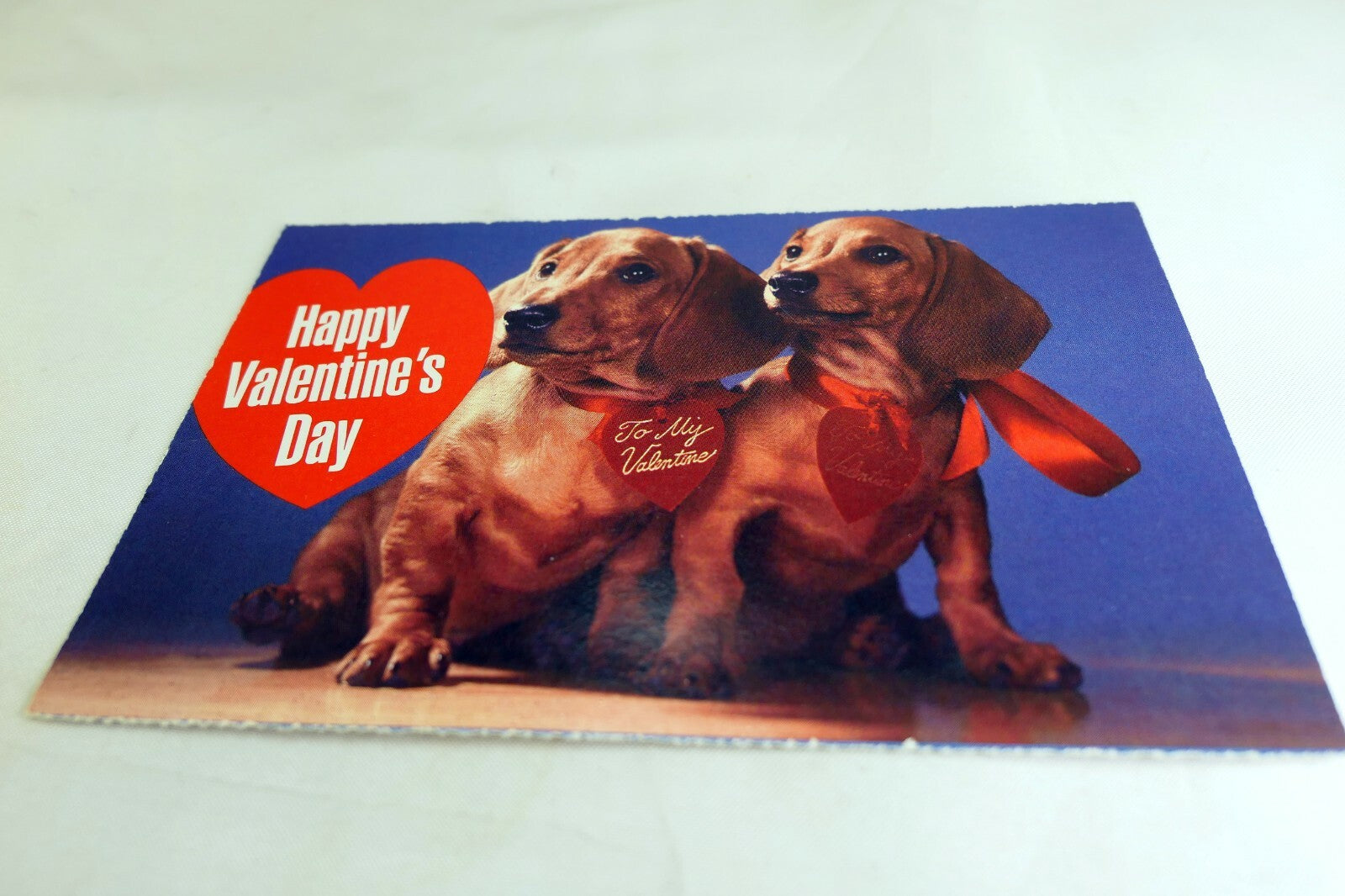 Happy Valentin's Day Postcard Animal Shelter North Shore League Dog Adopt 1980's