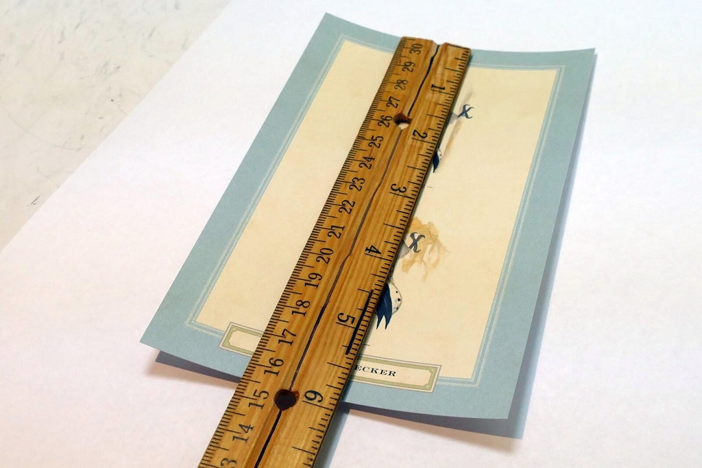 Downy Woodpecker  Postcard Bird by David Sibley - unposted , new