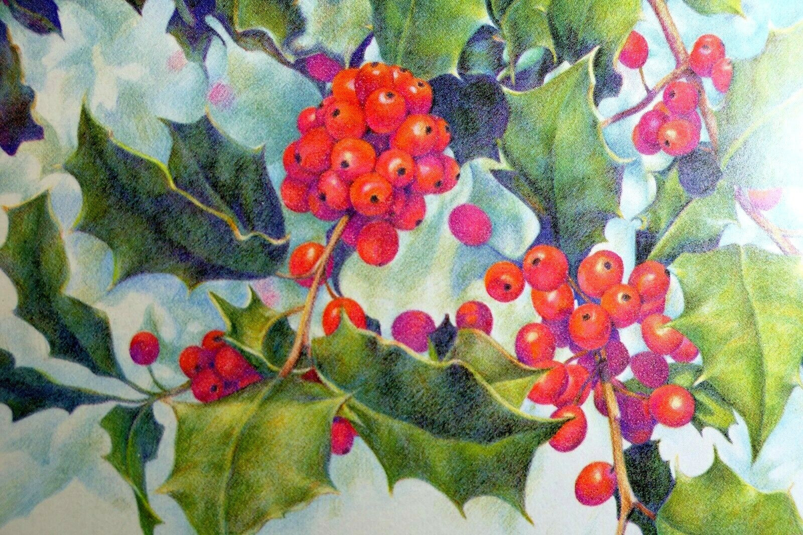 Seasons greetings prevention magazine usa postcard 1970's vintage