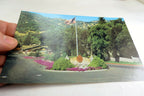 Italian Swiss Colony Wine Tasting Room California USA Postcard 1970's