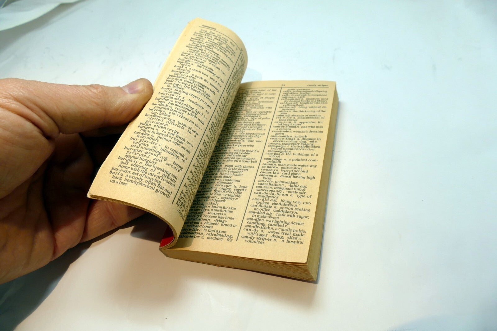 Vintage Vest Pocket Edition Webster Dictionary 1989