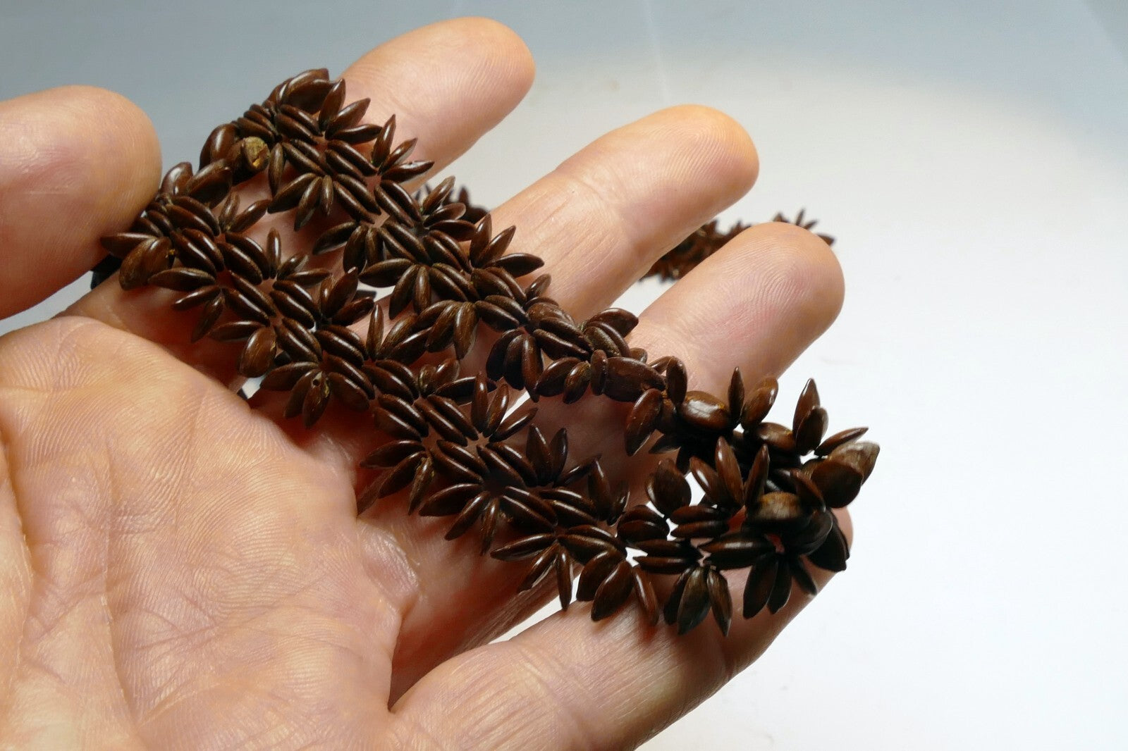 Brown Hawaiian Koa Seed Lei Single Strand Necklace 24" Boho Jewelry