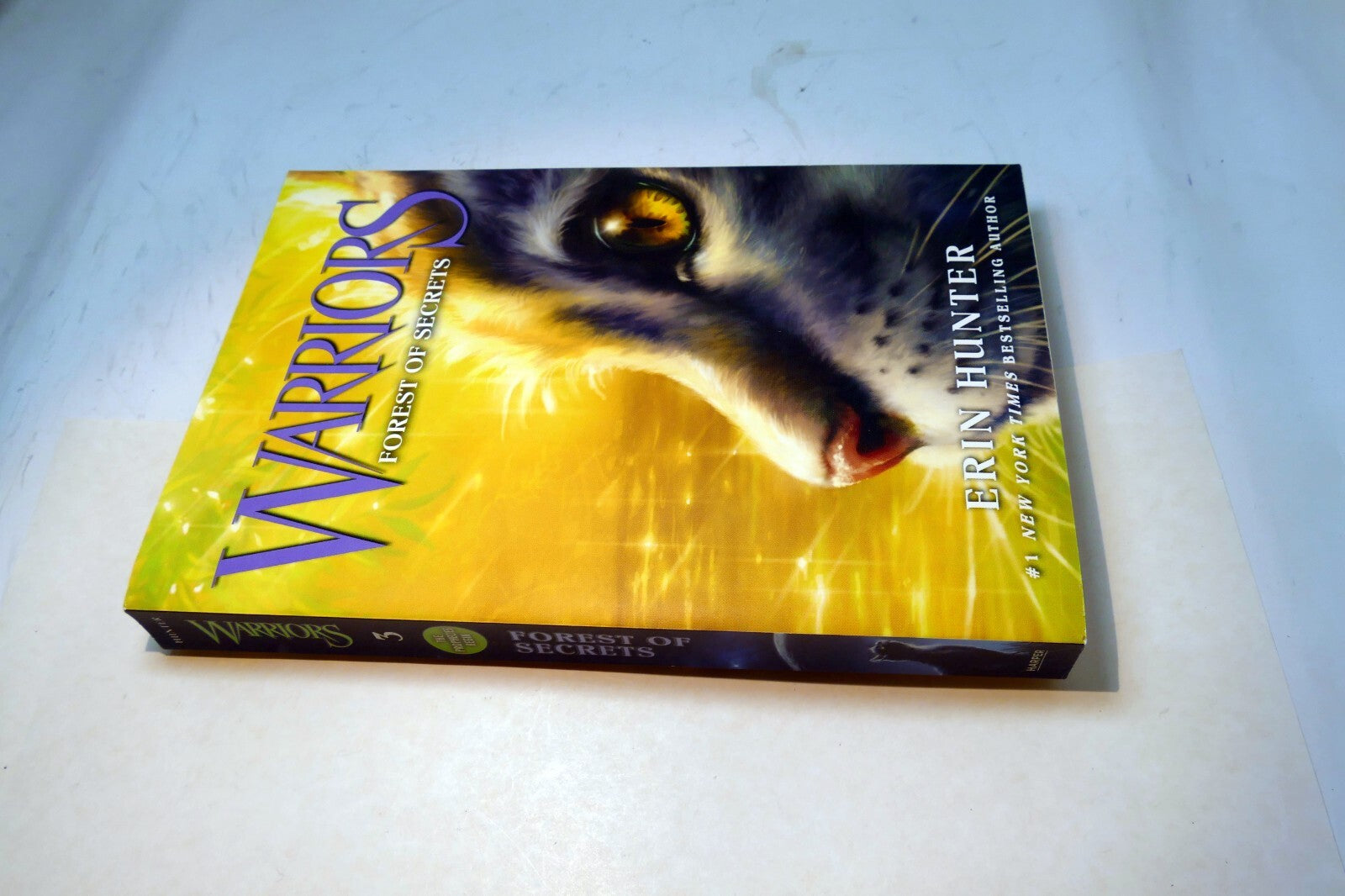Warriors #3: Forest of Secrets (Warriors: The Prophecies Begin, 3)