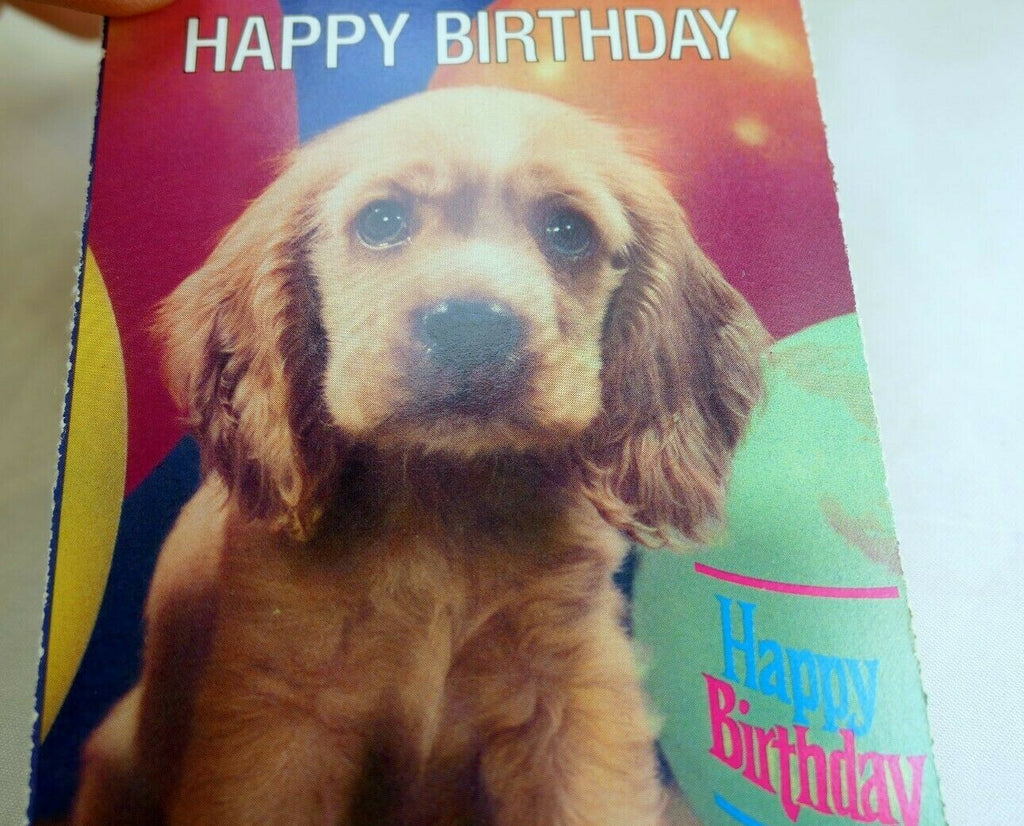 Happy birthday postcard animal shelter north shore league puppy golden retriever