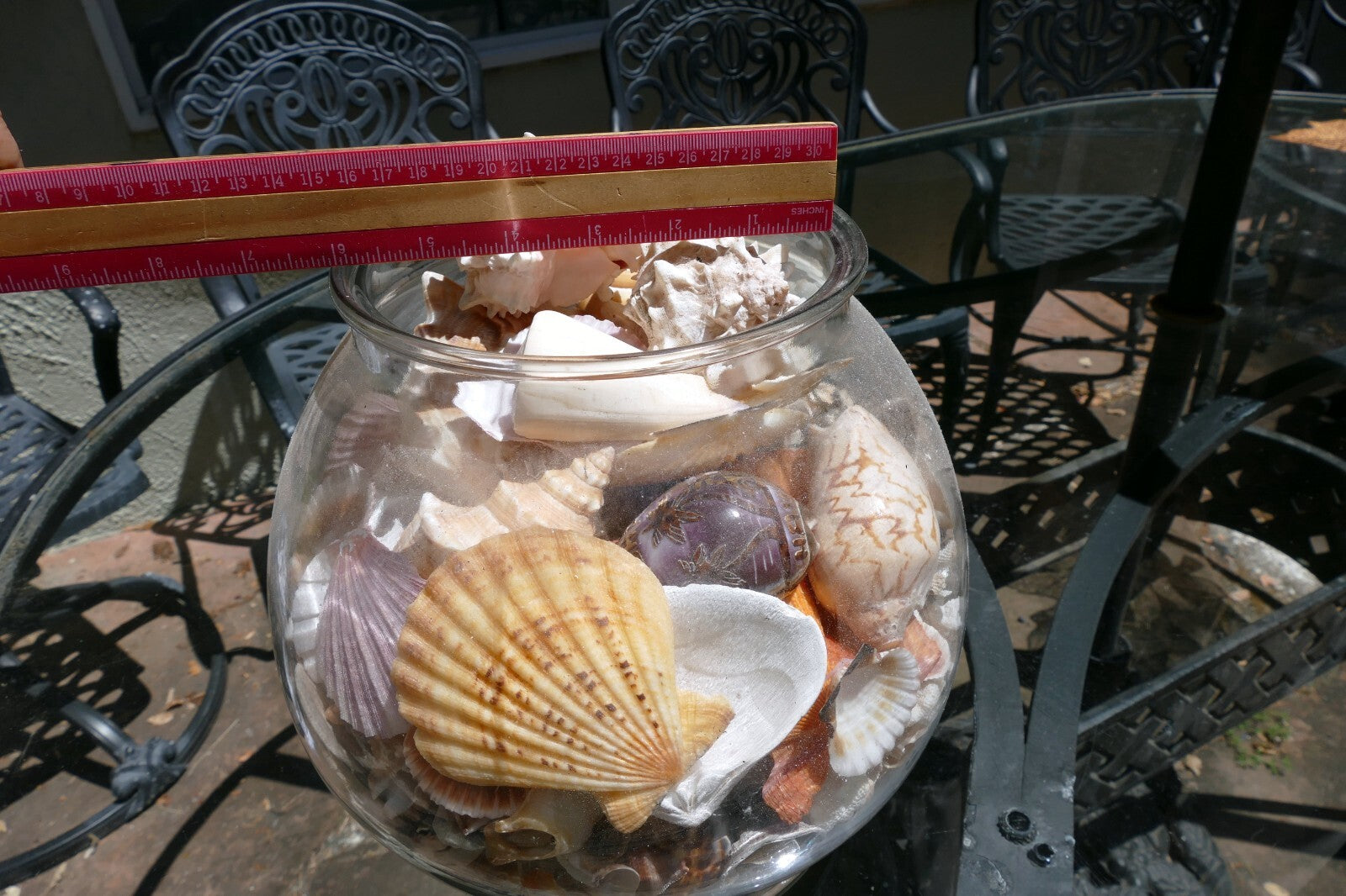 15 LBS Huge lot of Ocean Shell Seashell with glass bowl California San Francisco