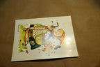 Hummel Lets Start The party Girl birds Postcard W. Germany Art - Unposted - mint