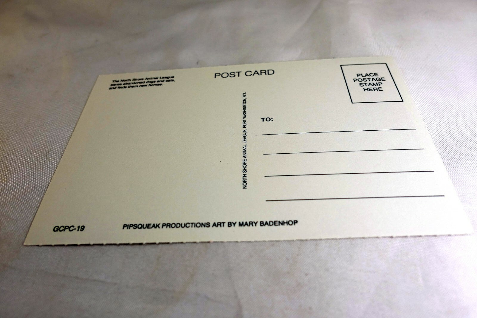 You're Special Postcard Animal Shelter North Shore League Adopt a Pet Kitten