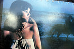 Linda ronstadt hasten down the wind vinyl lp 7e 1072 1976 elektra/asylum 0698