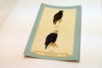 Bald Eagle Postcard Bird by David Sibley - unposted , new