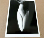 Magnolia bud 1920 photograph by imogen cunningham postcard ic 1 floral design